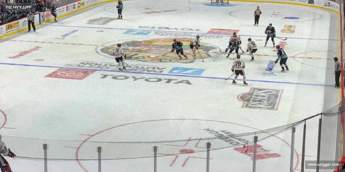 为什么选择我们